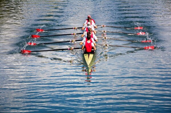 Istria Rowing Cup 2025, Spektakularna veslačka regata u srcu Istre