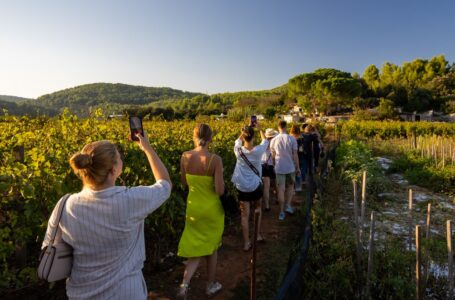 Baštinske eno-gastro ture – “Blato Wine, Taste & Create”