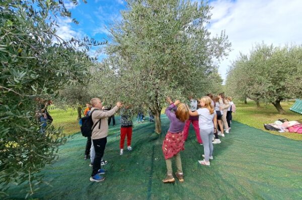 Eko kamp u Vrsaru – priroda i opuštanje za djecu iz Hrvatske i Slovenije