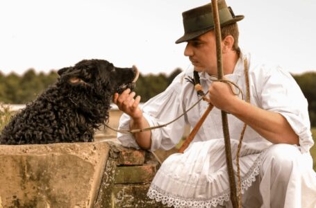 Hrvatski ovčar u registru nematerijalnih kulturnih dobara Republike Hrvatske