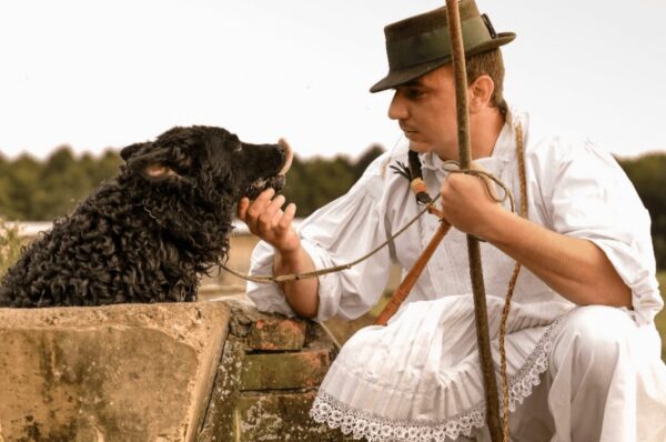 Hrvatski ovčar u registru nematerijalnih kulturnih dobara Republike Hrvatske