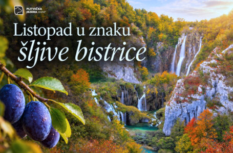 Listopad u Nacionalnom parku Plitvička jezera predstavlja šljivu bistricu