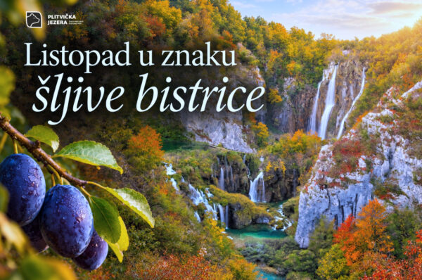 Listopad u Nacionalnom parku Plitvička jezera predstavlja šljivu bistricu